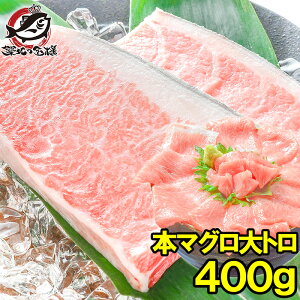  {}O {܂ g 400g Ki zn̉luh܂ g͂܂ɉl̖ {  ܂ }O N}O hg i CN Ⓚ zns LFs maguro  