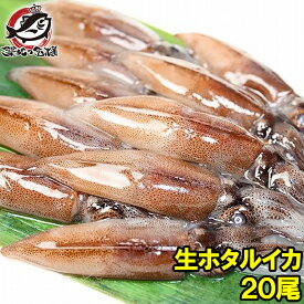 生ホタルイカ ほたるいか 20尾 約150g お刺身OK！新物ほたるいか。シーズン最盛期！富山産ほたるいかは大きくぷりぷりの食感 いか イカ ほたるイカ ほたるいか 蛍烏賊 刺身 烏賊 築地市場 豊洲市場 ギフト