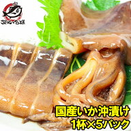 送料無料 特大 いか沖漬け 国産 真いかの沖漬け 1杯×5パック 鮮度と旨さが際立つイカ丸ごと沖漬け 真い…