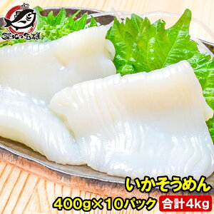 Y ߂ CJ\[ v4kg 400g×10pbN 𓀂邾ŕ֗INxQ̃CJh CJ\[Ղ8lO ߂ XCJ  CJ G hg 