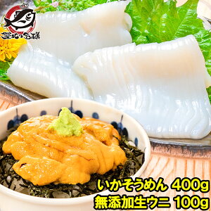  ɃZbg ߂ CJ\[ 400g  Ⓚ Y 100g ōAO[h ɘ2t Ej hg ɂ EjCJ hg ɌR CN 芪i 