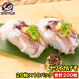 CJ v200 20×10pbN il^ hgp 𓀂Ďiɂ̂邾łiɁIil^̑ԃCJ  CJQ\ CJ  i i 芪