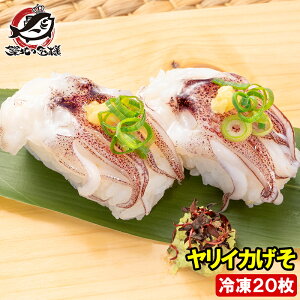 CJ 20 il^ hgp 𓀂Ďiɂ̂邾łiɁIil^̑ԃCJ  CJQ\ CJ  i i 芪i ]i z