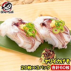 CJ v60 20×3pbN il^ hgp 𓀂Ďiɂ̂邾łiɁIil^̑ԃCJ  CJQ\ CJ  i i 芪