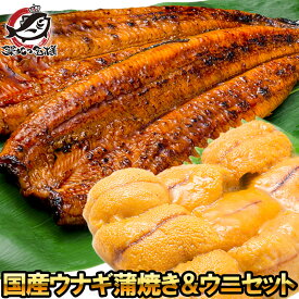 うにうなぎセット ＜竹＞ 特大国産うなぎ蒲焼き 平均165g前後×2尾 生ウニ 100g タレ付き 柔らかうなぎと生ウニの贅沢セット うなぎ ウナギ 鰻 うな丼 うな重 ひつまぶし 土用の丑 ウニ うに ギフト 築地市場 豊洲市場 おせち 単品おせち