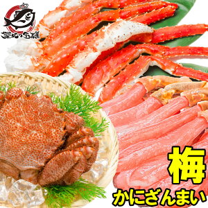  ɂ܂ ~ ^oKj 5L 1 1kg ɂԗp YCKj |[V 3L 500g т 400g 1 ̍؂ɃZbg CNZbg ɓ  Jj I Mtg p Ε CN