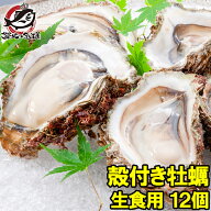 【賞味期限：2026年4月1日】生牡蠣 殻付き 生食用カキ 12個入り 冷凍殻付き牡蠣 生食用 新製法で冷凍なの…