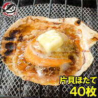 送料無料 ホタテ ほたて 特大 片貝ほたて 40枚 10枚×4袋 10〜11cmの特大サイズ！北海道産のほたて貝 殻…