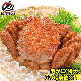 楽天市場 ふんどし 食品 の通販