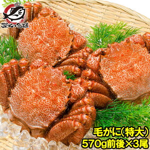   уKj ъI l䥂ŖтɎp 570gO×3 {C Ⓚ kCY ō I gJjXIzn̐KiKj  Jj I Jj ɖX zns LFs