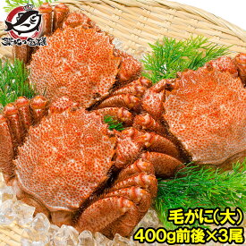 楽天市場 ふんどし 食品 の通販