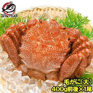 毛ガニ 毛蟹 浜茹で毛がに姿 平均400g前後×1尾 ボイル 冷凍 北海道産 最高級 堅蟹 身もカニ味噌もぎっしり!築地の正規品堅ガニ かに カニ 蟹 カニ鍋 かに味噌 築地市場 豊洲市場 おせち 単品