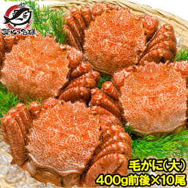 送料無料 毛ガニ 毛蟹 浜茹で毛がに姿 平均400g前後×10尾 1ケース 合計4kg ボイル 冷凍 北海道産 最高級 堅蟹 身もカニ味噌もぎっしりの堅ガニ かに カニ 蟹 カニ鍋 かに味噌 築地市場 豊洲市場 おせち 単品おせち ギフト
