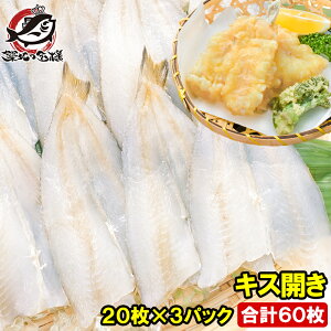  LXJ 20×3pbN v60 1650g Jς݂œVՂɂg܂ LXJ LX LXV V LX̂ĂՂ VՂ Vn Vw V Ɩp LFs Mtg