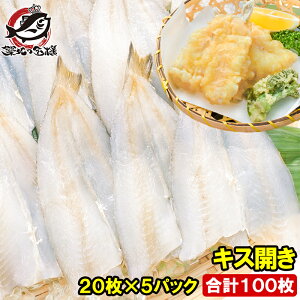  LXJ 20×5pbN v100 2750g Jς݂œVՂɂg܂ LXJ LX LXV V LX̂ĂՂ VՂ Vn Vw V Ɩp LFs Mtg