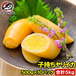 q肢 500g×10pbN v5kg 20`25 ppbN iłςƂBqCJ  CJ CJ  VV q y   ܂ z