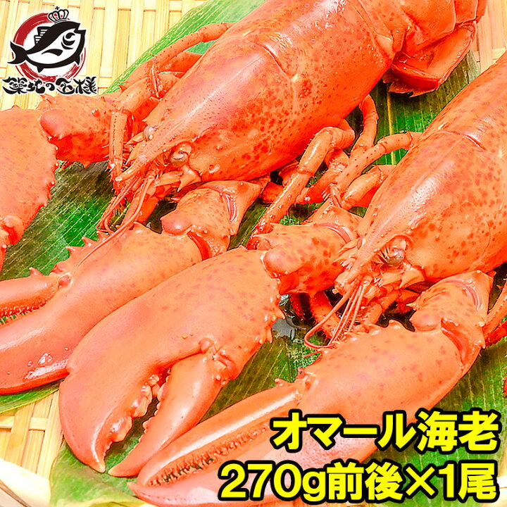 楽天市場 オマール海老 ロブスター 冷凍重量270g前後 1尾 肉厚な高級ボイルロブスター ロブスター オマールエビ オマール海老 オマールロブスター 伊勢海老 伊勢えび クリスマス おせち バーベキュー 築地市場 豊洲市場 ギフト R うに カニ まぐろなら築地の王様