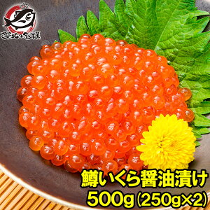  CNݖЂ v500g 250g×2   ݖЂ q  ݖ 瘥 CN t tCN CN zns LFs i hg  