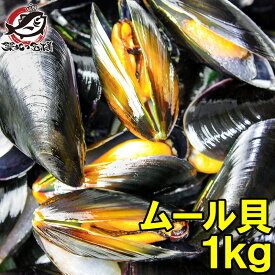 ムール貝 1kg ボイル 殻つきムール貝 500g×2パック 解凍後そのまま食べられます。【輸入食材 築地市場 豊洲市場 鍋 パスタ パエリア ブイヤベース 香草焼き ワイン蒸し イタリアン スパニッシュ ムール貝通販 ギフト】r