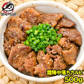 中落ち カルビ 牛カルビ 焼肉 500g 業務用 味付け カルビ肉 牛肉 肉 お肉 熟成牛 熟成肉 霜降 アメリカ産 カナダ産 鉄板焼き ステーキ BBQ バーベキュー お中元 お歳暮 築地市場 豊洲市場 ギフト