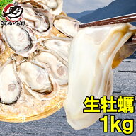 生牡蠣 1kg 生食用カキ 冷凍時1kg 解凍後850g 冷凍むき身牡蠣 生食用 新製法で冷凍なのに生食可能な牡蠣…