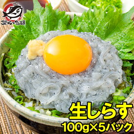 生しらす 生シラス 500g 100g×5パック 8〜10人前 超新鮮な無添加の国産天然生しらす！極上の生しらす丼をご家庭で 冷凍生しらす 生シラス丼 駿河湾産 江ノ島 鎌倉 静岡産 築地市場 豊洲市場