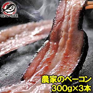 _Ƃ̃x[R Dyoion Ȃ1{300g̑傫 3Zbg MtgɂœKȎDŷƂĂ̔ x[RXe[L Dyoiot[Y kCtFA kCYW z