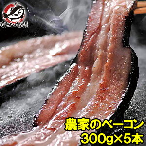  _Ƃ̃x[R Dyoion Ȃ1{300g̑傫 5Zbg MtgɂœKȎDŷƂĂ̔ x[RXe[L Dyoiot[Y kCtFA kC