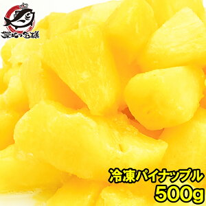  ⓀpC pCibv500g×1 ÂpCՂ ⓀpC npCibv iiX t[cW[X X[W[ NY_CGbg Ⓚt[c Ⓚʎ fU[g