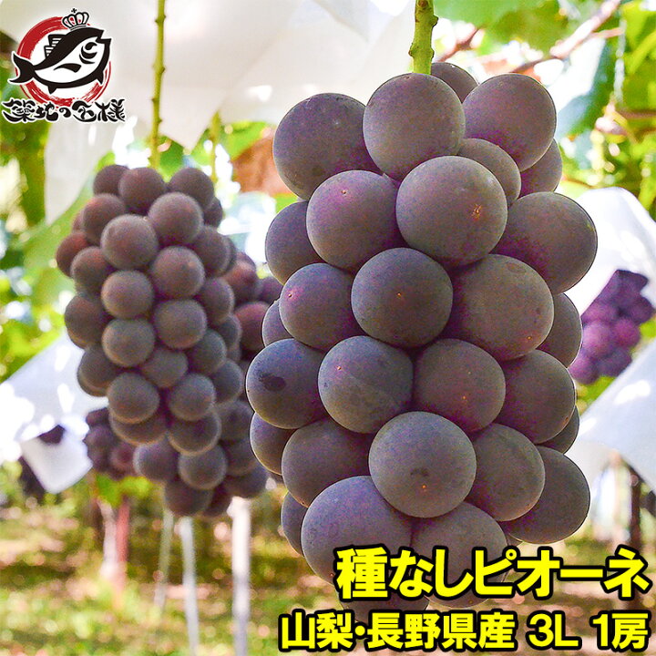楽天市場 ピオーネ1房 山梨 長野県産 種なしピオーネ 650g 700g前後 3lサイズ 最高級特秀ランク ピオーネ 巨峰 ぶどう ブドウ 葡萄 フルーツ ギフト 贈り物 うに カニ まぐろなら築地の王様 楽天市場 ピオーネ1房 山梨 長野県産 種なしピオーネ 650g 700g前後 3lサイズ 最高級特秀ランク ピオーネ 巨峰 ぶどう ブドウ 葡萄 フルーツ ギフト 贈り物 うに カニ まぐろなら築地の王様
