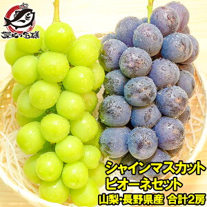 yzsI[l650gOさVC}XJbg600-700gOZbg R 쌧Y 1.3kgO v2[ 1 ysI[l VC}XJbg  Ԃǂ uhE  t[cz