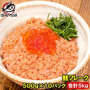  t[N ق kCY e 500g×10pbN   č Ⴏ T[ t[N Ɩp Ⓚ ɂ  Ђ 瘥 