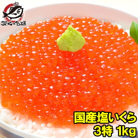 送料無料 塩イクラ 塩いくら 1kg 化粧箱入り 厳選の国産3特グレードの本格塩イクラ！皮までトロける上物。ギフトに大人気 塩いくら いくら塩漬け いくら丼 イクラ丼 海鮮丼 北海道 三陸 サーモン 鮭 築地市場 豊洲市場 寿司 料理 おせち 単品おせち ギフト