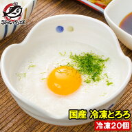冷凍 とろろ 国産 無添加トロロ 40gパック×20個 高級タイプ 業務用でお得な使い切りとろろ 長いも 長芋 …