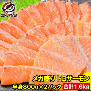  K gT[ g hgpgEgT[ 800gO×2pbN v1.6kg 20lO  T[ hg i zns LFs tg Ɩp  Mtg