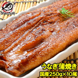 送料無料 超特大 国産うなぎ蒲焼き 平均250g前後×10尾 タレ付き 柔らかうなぎを丁寧に焼き上げた！まさに国産の最高級品質。デパ地下にも卸しています うなぎ ウナギ 鰻 うな丼 うな重 ひつまぶし 土用の丑 ギフト 築地市場 豊洲市場