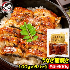  ȂĂ 100g ×6pbN v600g Ȃ V EiM yp̉N Ș ȏd Ђ܂Ԃ Jbgς  HׂTCY Mtg LFs
