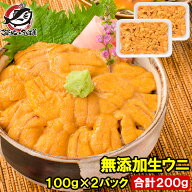 送料無料 うに 冷凍生うに 無添加 100g×2パック 高級Aグレード うに丼約4杯分のお試しサイズ ウニ ウニ…