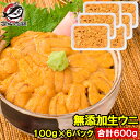 送料無料 うに 冷凍生うに 無添加 100g×6パック 最高級Aグレード うに丼約12杯分のお試しサイズ ウニ ウニ丼 刺身 う…