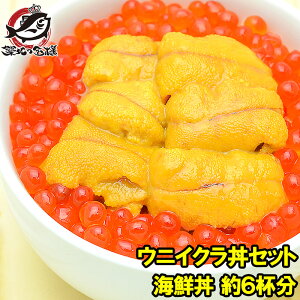 生 いくら 食品の通販 価格比較 価格 Com