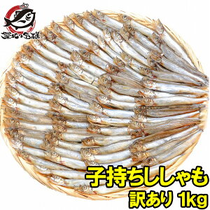  󂠂  qVV Ɩp 1kg VV JtgVV Jy t mEF[EJi_Y H tC g A 킯 PA z
