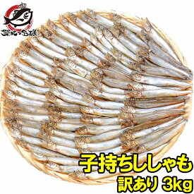 送料無料 訳あり ししゃも 3kg 1kg ×3袋 業務用子持ちシシャモ 樺太シシャモ カラフトシシャモ カペリン 柳葉魚 ノルウェー・カナダ産 中国加工 ししゃもフライ 唐揚げ 訳アリ わけあり ワケアリ 築地市場 豊洲市場 ギフト