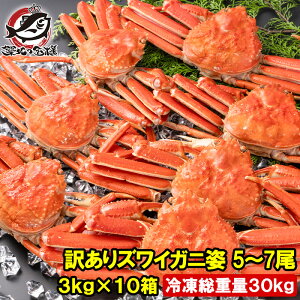 󂠂 YCKj p v30kgO 50`70 3kg×10 Ⓚł {YCKj {CⓀ YCI 킢  Jj I 킢I LFs ɓ ĂKj  Pi N 