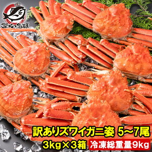 󂠂 YCKj p v9kgO 15`21 3kg×3 Ⓚł {YCKj {CⓀ YCI 킢  Jj I 킢I LFs ɓ ĂKj  Pi N 