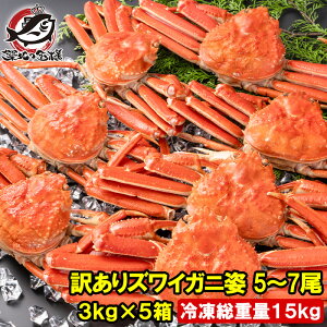 󂠂 YCKj p v15kgO 25`35 3kg×5 Ⓚł {YCKj {CⓀ YCI 킢  Jj I 킢I LFs ɓ ĂKj  Pi N 