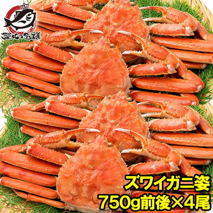 楽天市場】送料無料 ズワイガニ 姿 3kg 750g前後×4尾 冷凍ゆでがに 本 