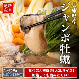 【特大ジャンボ牡蠣】播磨灘産 1年牡蠣 大盛り1kg（NET850g）加熱用｜冷凍牡蠣 むき身 まとめ買い 牡蠣フライ かき鍋 送料無料 お中元 【エビとのハーフサイズセット販売始めました!】