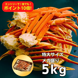 3LTCY(1300gȏ) {C킢ɑ 5kg(12-16/5-7lO) yGg[P10{IzJj  I YCKj YCI Ε Mtg   킢 {C ኱