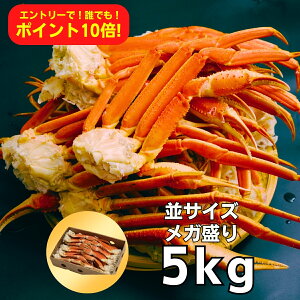 LTCY(1200g`300g) {C킢ɑ 5kg(16-24/5-7lO)@yGg[10{Iz ኱̑܂ꂪꍇ܂ Jj  I YCKj YCI Ε Mtg 