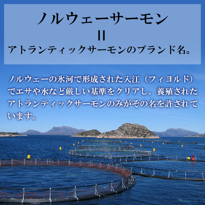 楽天市場 生食サーモン 切り落とし 600g ノルウェーサーモン アトランティックサーモン 訳あり アウトレット お取り寄せ お取り寄せグルメ 鮭 さけ 海鮮丼 刺身 生鮭 サーモン切り落とし 築地わだつみ 築地 ノルウェー産 サーモン 刺し身 お刺身 海鮮 自宅用 ワケアリ 楽天市場 生食サーモン 切り落とし 600g ノルウェーサーモン アトランティックサーモン 訳あり アウトレット お取り寄せ お取り寄せグルメ 鮭 さけ 海鮮丼 刺身 生鮭 サーモン切り落とし 築地わだつみ 築地 ノルウェー産 サーモン 刺し身 お刺身 海鮮 自宅用 ワケアリ